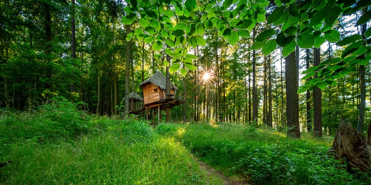 Treehouse stojaci uprostred lesov neďaleko Brna je ideálnym miestom pre rodiny s deťmi aj páry či priateľov.