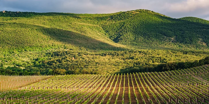 Zájezd vás provede krajem Chianti, kde vznikají slavná vína.
