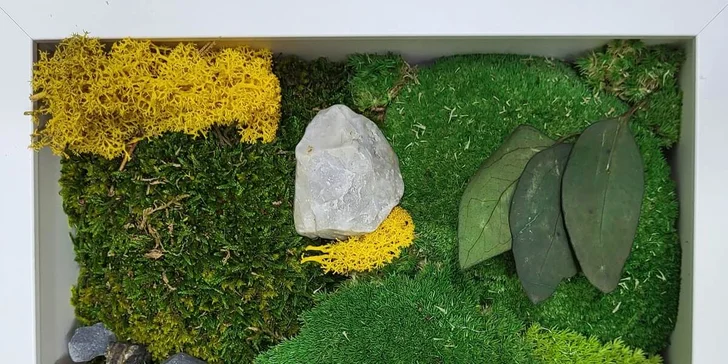V ceně máte veškerý materiál, pomůcky i rostlinky. 