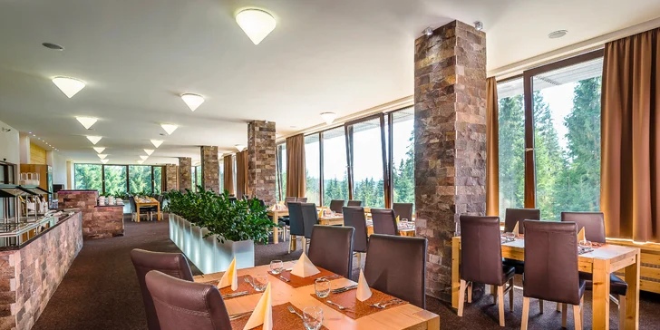 Bohaté snídaně a večeře formou bufetu se podávají v hotelové restauraci v přízemí.