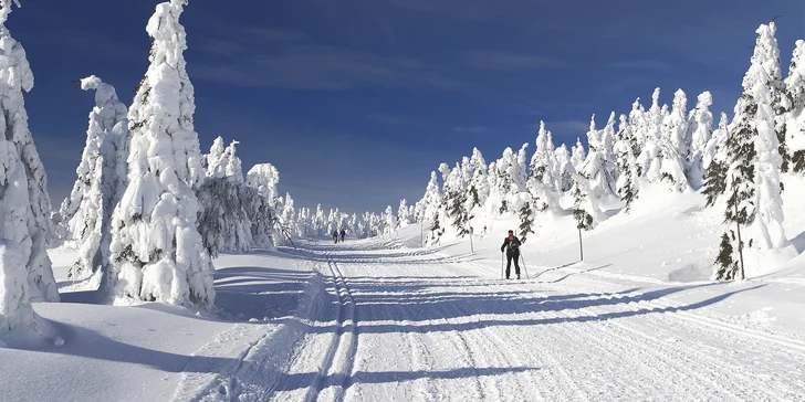 V zimě vyrazte na lyže nebo běžky. 