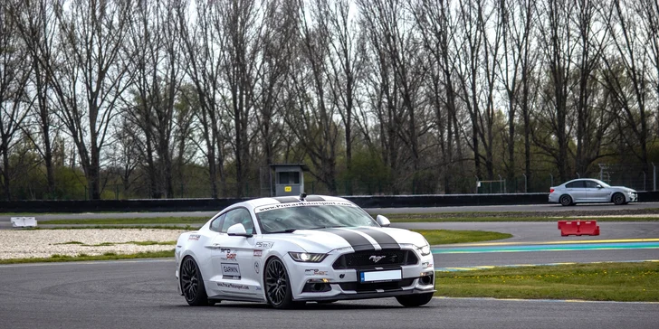 FORD MUSTANG GT 5.0 V8 CHALLENGE