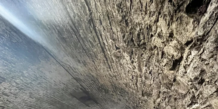 Při hezkém počasí budete převážně na vinici, ale zavítáte také do výrobních prostor a zmíněného historického sklepa.
