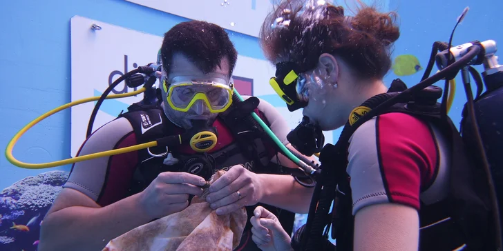 Cesta za pokladem, který tu zanechal kapitán Jacques-Yves Cousteau, tentokrát začíná převléknutím do neoprenu a obutí ploutví!