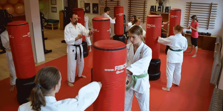 Měsíční permanentka na lekce bojového umění ve Sport Centru Budokan