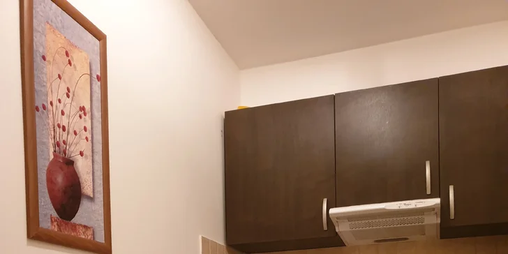 Ke každému apartmánu náleží oddělený kuchyňský kout s varnou deskou, konvicí, nádobím a mikrovlnkou.