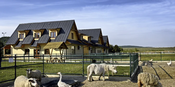 Oproti ihrisku je mini zoo s ovečkami a poníkmi.