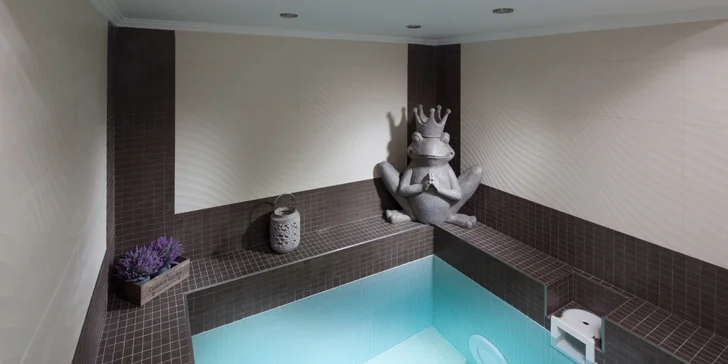  V balíčku máte volný vstup do wellness centra sesterského hotelu Chateau Monty SPA Resort (asi 15 minut od vašeho hotelu).  