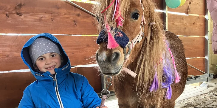 Pokud si pozvete na vaši akci partu zvířátek, na 2 hodiny s vámi budou dovádět dva poníci, králíček a přátelský pejsek. 