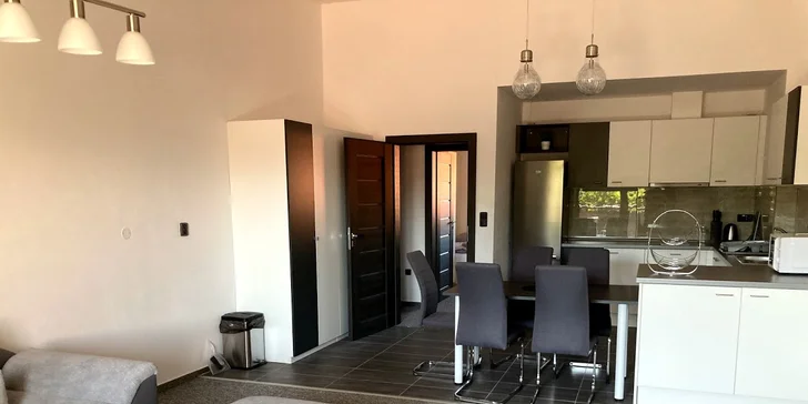Každý apartmán má vybavenou kuchyni pro základní vaření. 