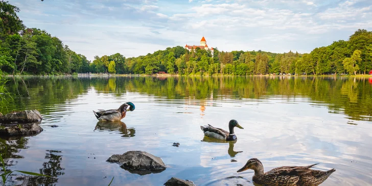 V rámci některých variant dostanete také dvě vstupenky na zámek Konopiště (3 km). 