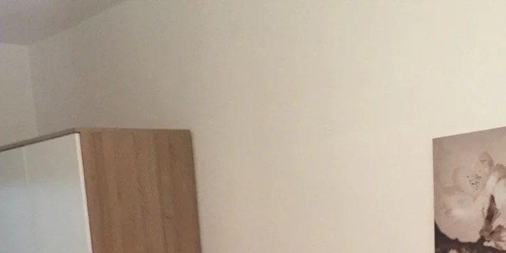 V pokoji najdete i malou ledničku.