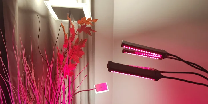 Vyzkoušet můžete také biofotomodulační lampu.