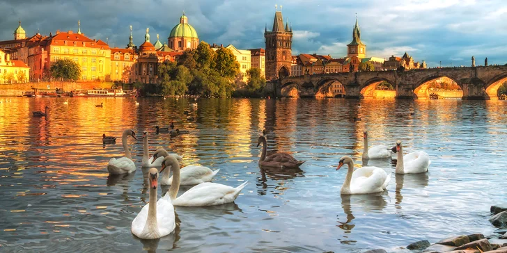 Na 2–12 nocí vás rádi ubytují v 3* hotelu Ibis Praha Wenceslas Square, který se nachází přímo v centru Prahy. 