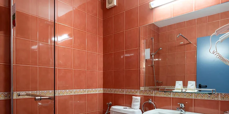 V koupelně najdete sprchový kout, WC a fén.