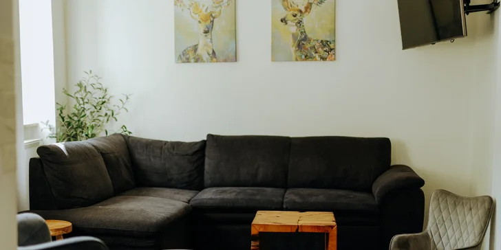 Jsou tu 2 společenské místnosti s pohovkami a 4 ložnice. 