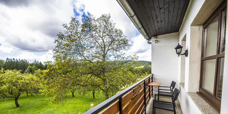 K pokoji Deluxe patří balkon. 