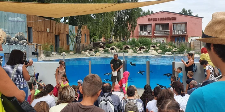ZOO v Győri