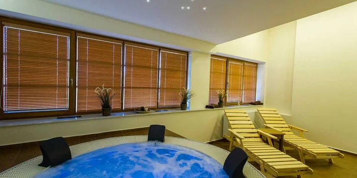 Za příplatek můžete využít také wellness služby: vířivku, saunu, infrakabinu nebo relaxační masáž.