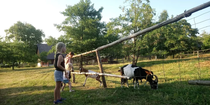 A užijete si tu i blízkost zvířátek.