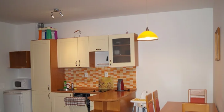 Lednice, mikrovlná trouba i varná konvice v apartmánu je samozřejmostí. 
