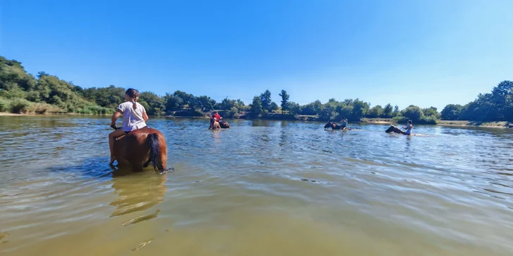 Deti aj rodičia dostanú prilbu a naučia sa kone čistiť a sedlať. 
