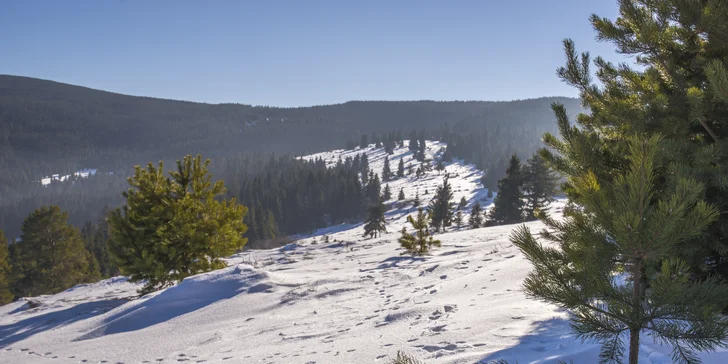 Horský Hotel Brezovica** sa nachádza rovno pri zjazdovkách strediska Ski centrum Brezovica. 