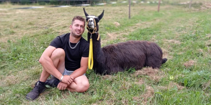 Během procházky máte dost času na hlazení, mazlení se zvířaty a focení s nimi. 