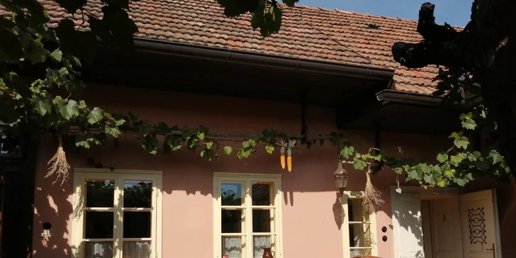 Zážitkom bude už aj samotný priestor, v ktorom budeš tvoriť. Keramická dielňa sa nachádza na Bencovje grunte