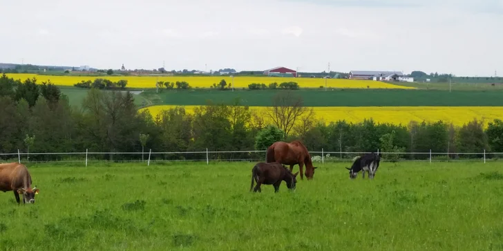 Farma se nachází v idylickém prostředí 