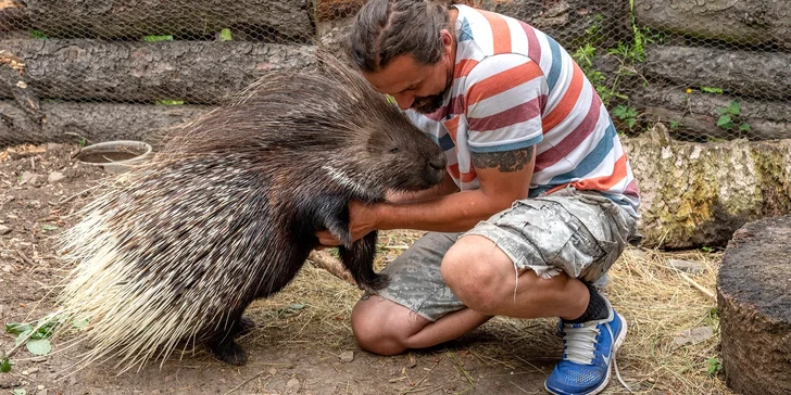 Na 1 den ošetřovatelem v Kontaktním Zooparku: šelmy, plazi, dikobraz i opičky