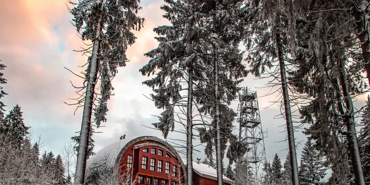 V zimních měsících areál ožívá lyžařským ruchem, kde nechybí sjezdovky ani profesionální lyžařská a snowboardová škola.