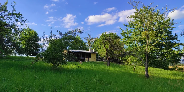 Velkým bonusem je oplocená zahrada o rozloze 1 700 m², která nabízí dostatek prostoru pro relaxaci i zábavu. 