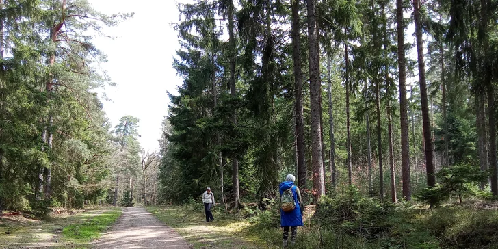 Terapii si můžete vychutnat sami, ve dvou i ve skupině.
