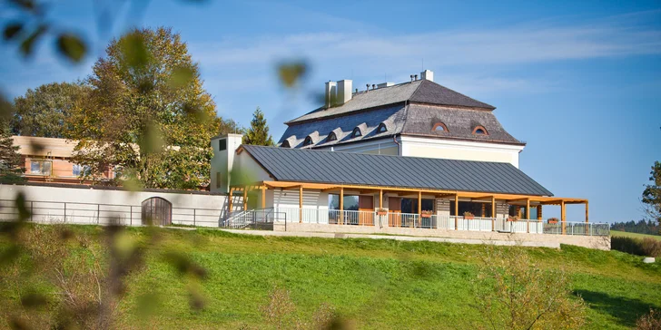 Na velkém pozemku je vlastní rybník, v sezoně si tu můžete zarybařit nebo se třeba plavit na lodičkách.