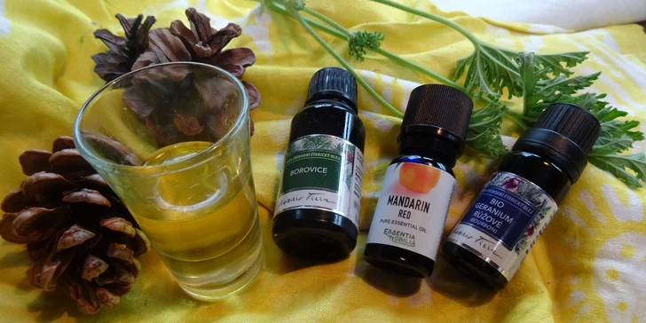 Zjistíte, co má obsahovat základní domácí aromalékárnička.