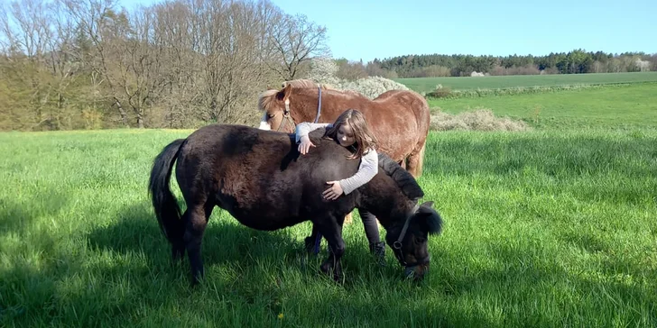 Nabízí tu jízdy v nádherné přírodě, kde vám bude dělat společnost nejen spolehlivý kůň, ale i zpěv ptáků a šum stromů.