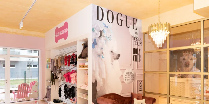 Po kúre v tomto salóniku bude vás psík pripravený pózovať napríklad aj pre magazín Dogue!

