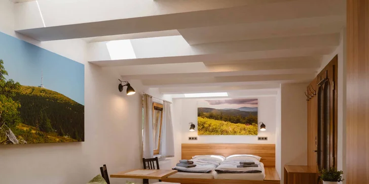 Ubytování v luxusním apartmánu je situováno přímo v hlavní budově penzionu Aurum.