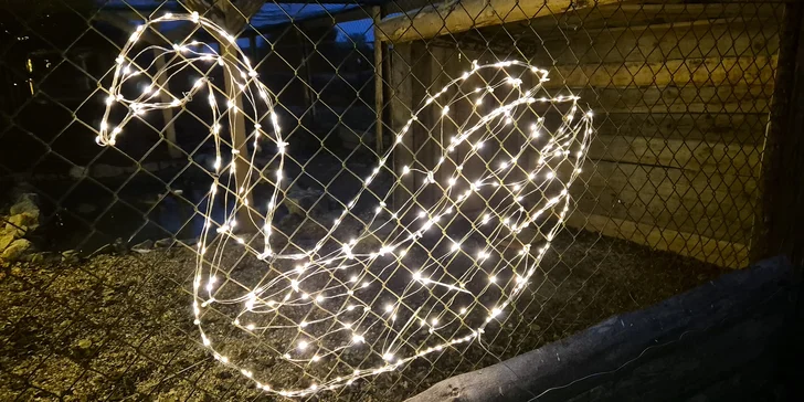 Děti se tu dozví celou řadu zajímavostí o zvířatech.
