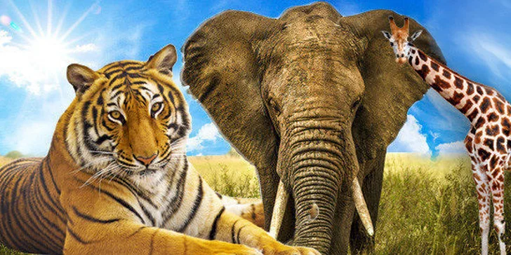 Vstupenka do ZOO Zlín pro 1 osobu
