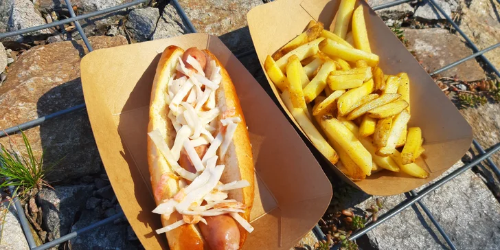 Ke každému hot dogu dostanete i 120 g hranolků z grilu, prostě pořádná bašta.