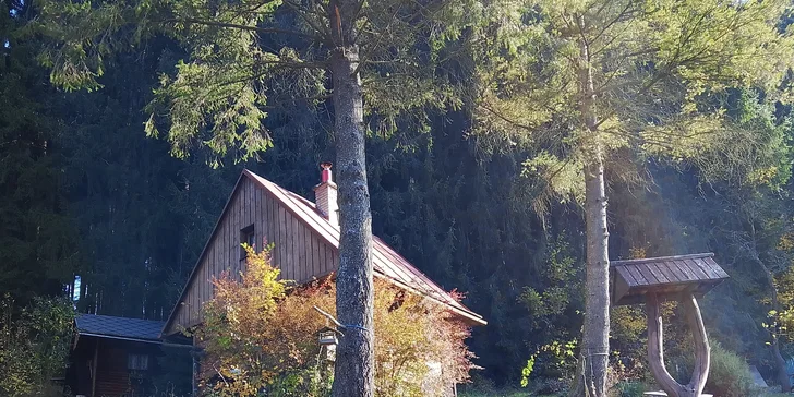 Kurzy probíhají v malém počtu 1–4 účastníků (takže se vám bude včelař poctivě věnovat) a vhodný je i pro rodiny s dětmi.