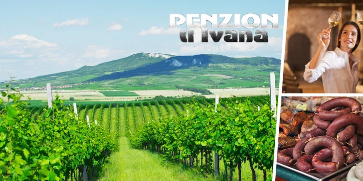 Dovolená s degustací vína a rautem na jižní Moravě