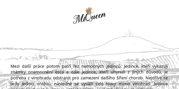 Ukázka newsletteru s. 2