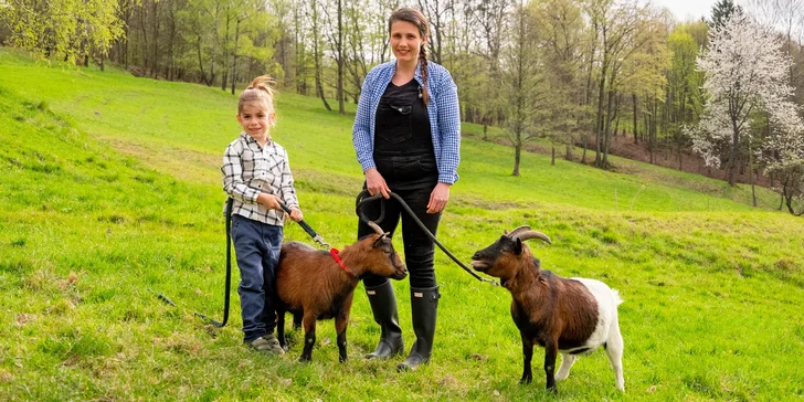 Chovají tu shetlandské miniponíky, zakrslé králíky, kozy, ovce, kuřata i slepice.