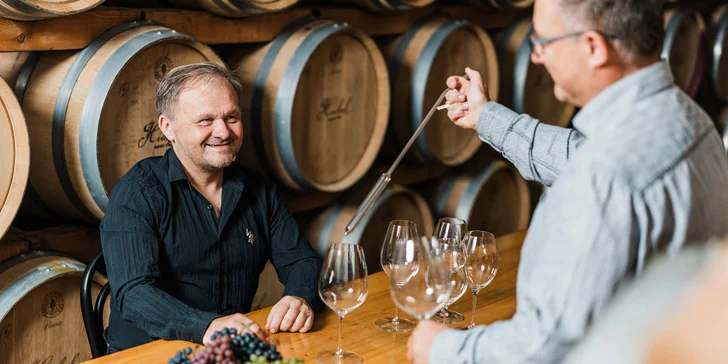 Degustace přívlastkových vín řady Touha zahrnuje také prohlídku vinařství.