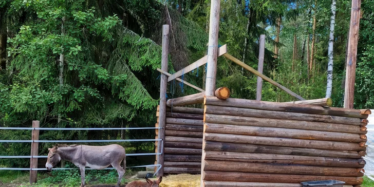 60minutová procházka je vhodná pro děti i dospělé.