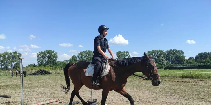 Pak už stačí jen vložit nohu do třmenu, čapnout hřívu, vyhoupnout se do sedla a popadnout otěže.