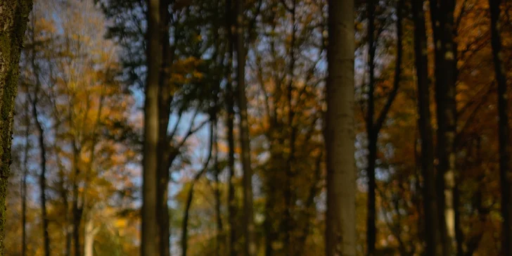 Súčasťou balíčka je výber a základná farebná úprava fotografií.